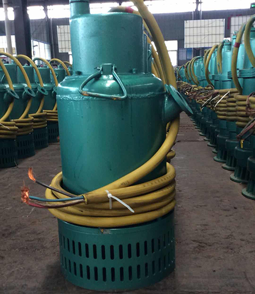 防爆(bào)排污泵(beng)圖片